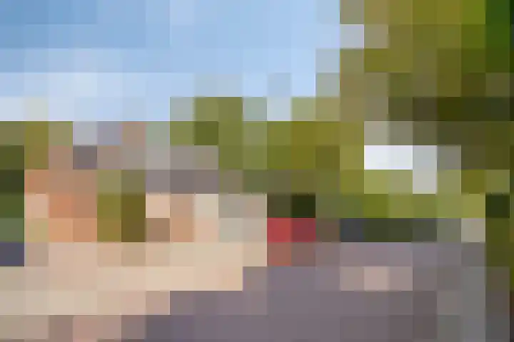 Kerkpad 10 Oldehove thumbnail 47