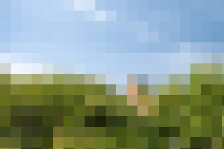 Kerkpad 10 Oldehove thumbnail 48