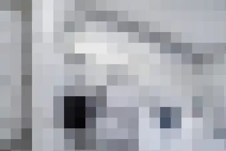 Kerkpad 10 Oldehove thumbnail 5