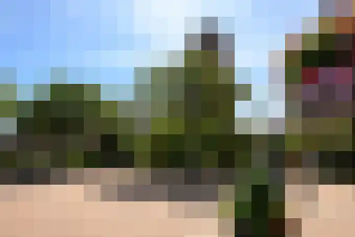 Kerkpad 2 A Monster thumbnail 35