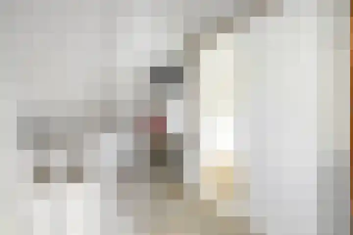 Kerkpad 26 Dwingeloo thumbnail 31