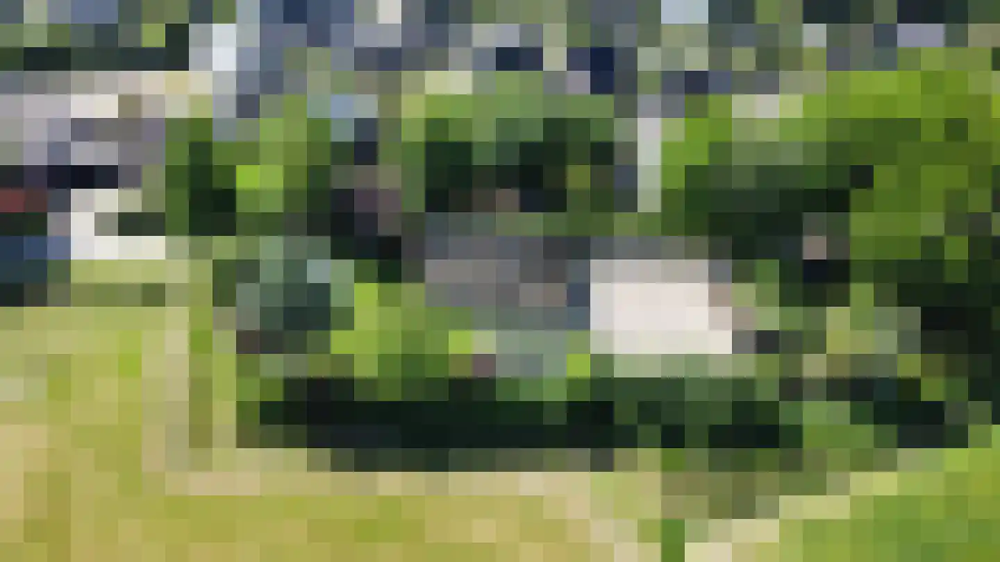Kerkpad 26 Dwingeloo thumbnail 31