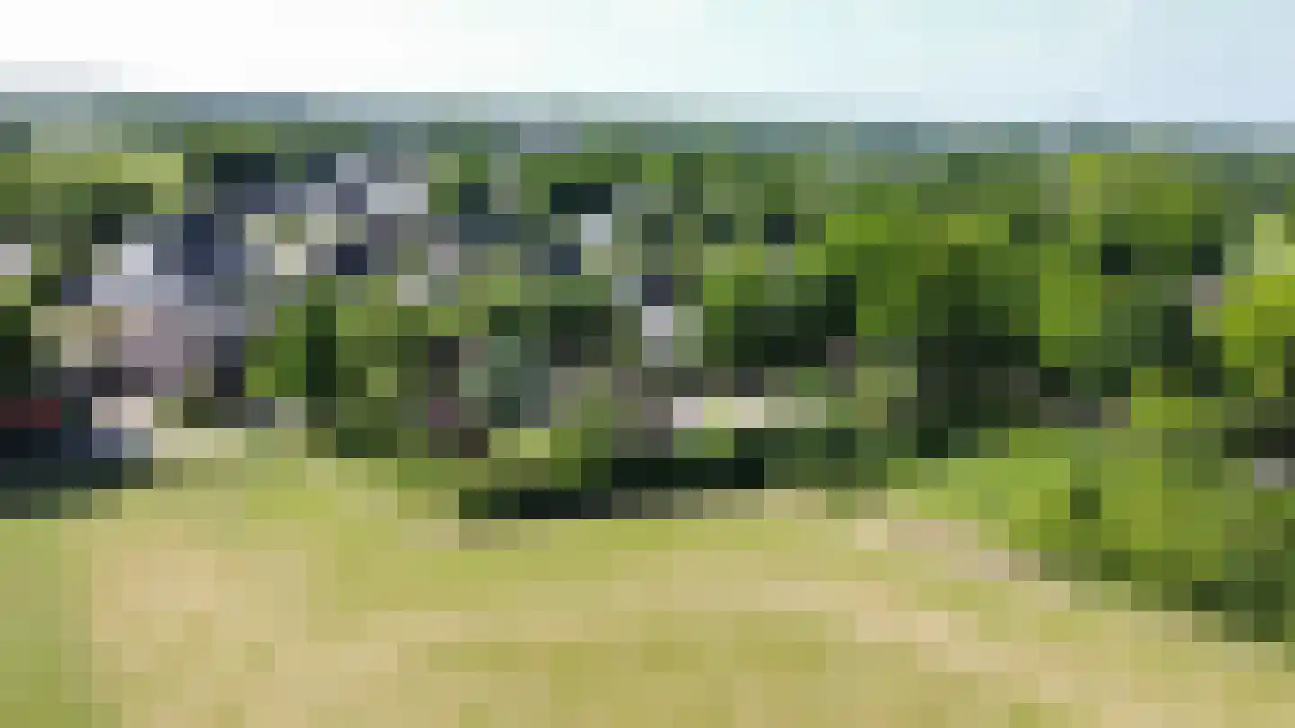 Kerkpad 26 Dwingeloo thumbnail 32