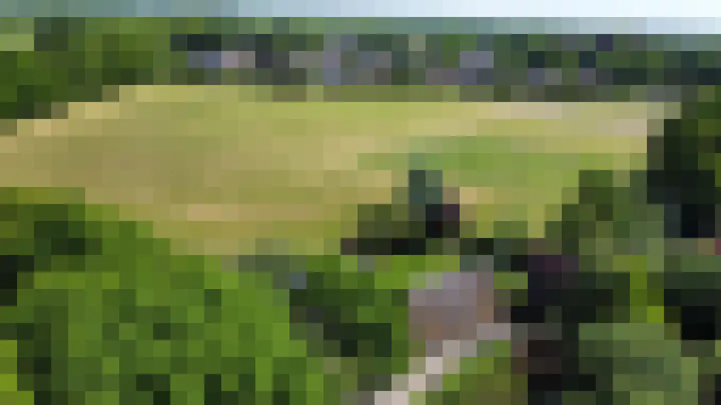 Kerkpad 26 Dwingeloo thumbnail 33