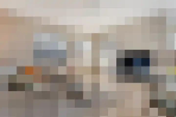 Kerkpad 3 Den Ham thumbnail 10