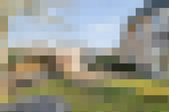 Kerkpad 3 Den Ham thumbnail 34