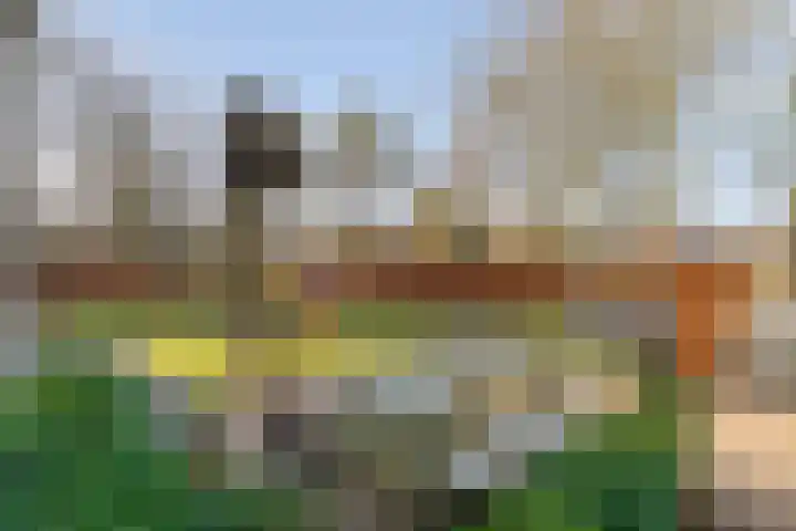 Kerkpad 3 Den Ham thumbnail 35