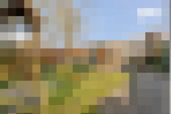 Kerkpad 3 Den Ham thumbnail 36