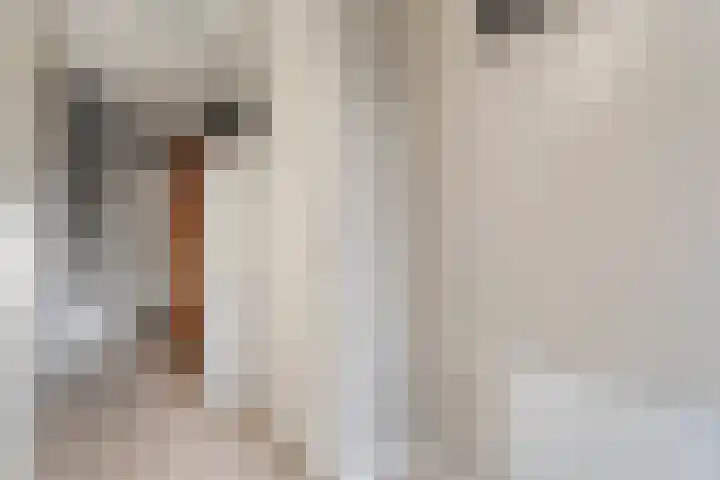 Kerkpad 3 Den Ham thumbnail 7