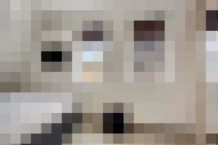 Kerkpad 33 Venhorst thumbnail 22