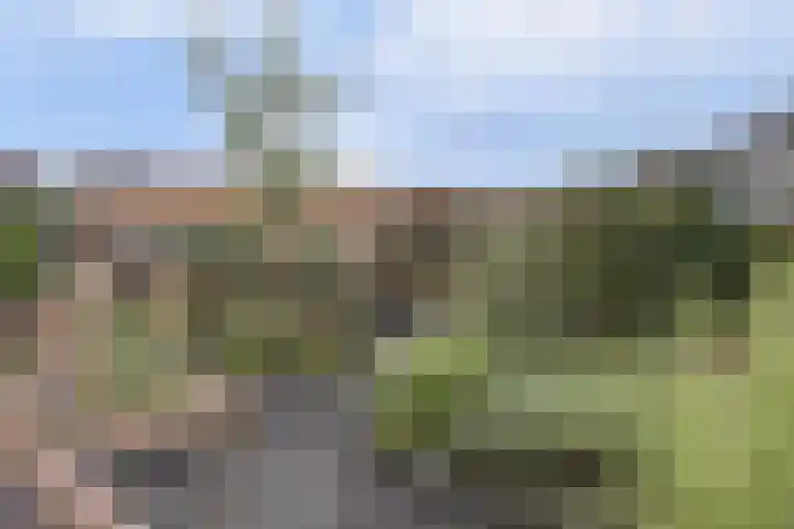 Kerkpad 33 Venhorst thumbnail 28