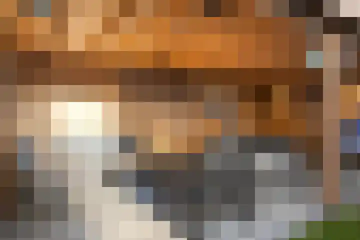Kerkpad 33 Venhorst thumbnail 37