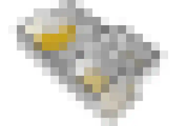 Kerkpad 33 Venhorst thumbnail 41