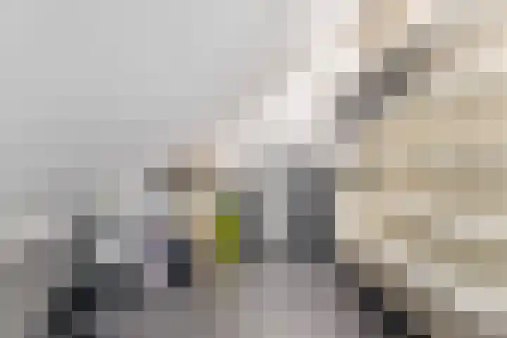 Kerkpad 48 Venhorst thumbnail 21