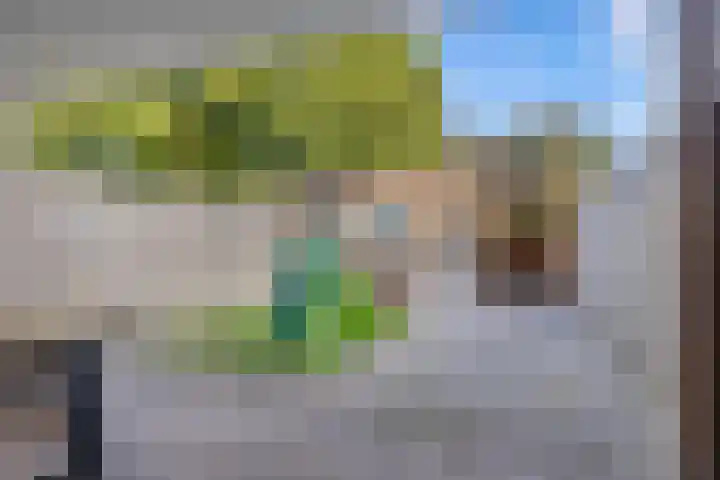 Kerkpad 48 Venhorst thumbnail 22