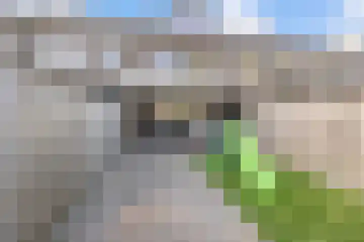 Kerkpad 48 Venhorst thumbnail 23
