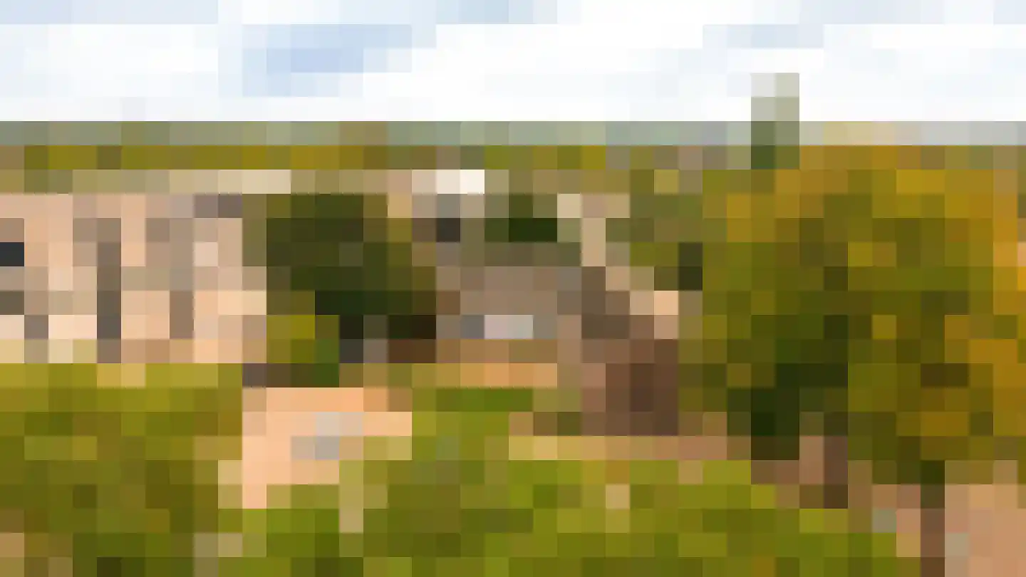 Kerkplein 2 Malden thumbnail 10