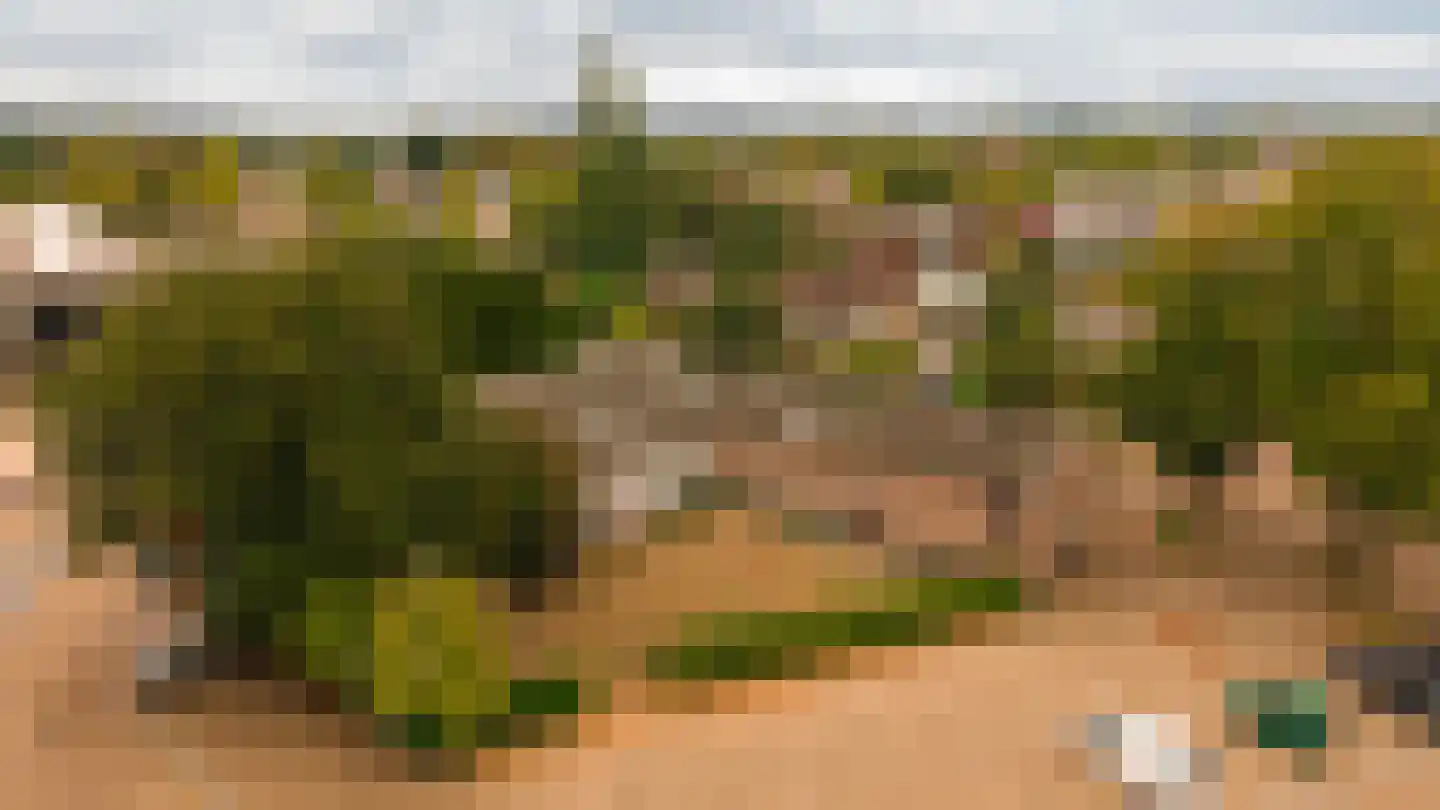 Kerkplein 2 Malden thumbnail 14