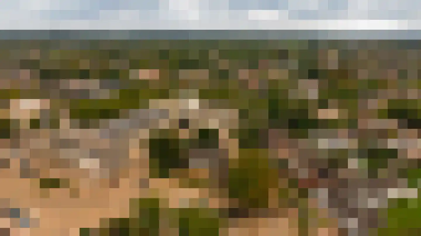 Kerkplein 2 Malden thumbnail 15