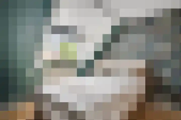 Kerkplein 3 Haelen thumbnail 23