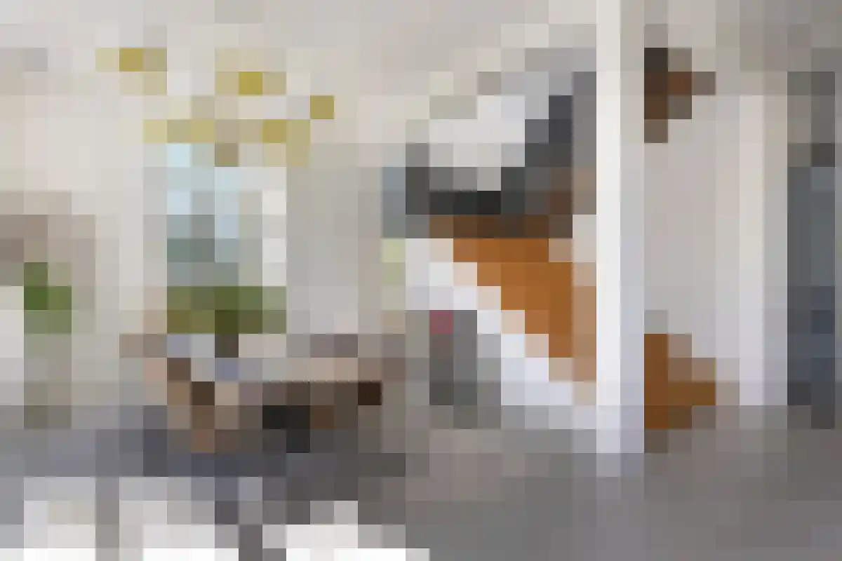 Kerkplein 5 Beugen thumbnail 18