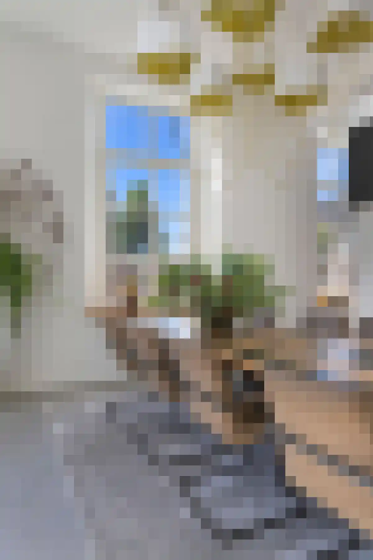 Kerkplein 5 Beugen thumbnail 19