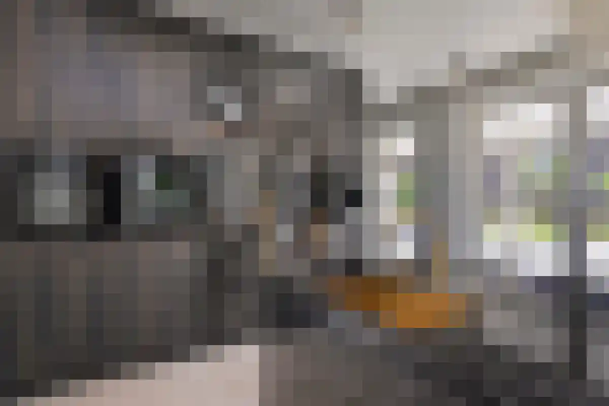 Kerkplein 5 Beugen thumbnail 34