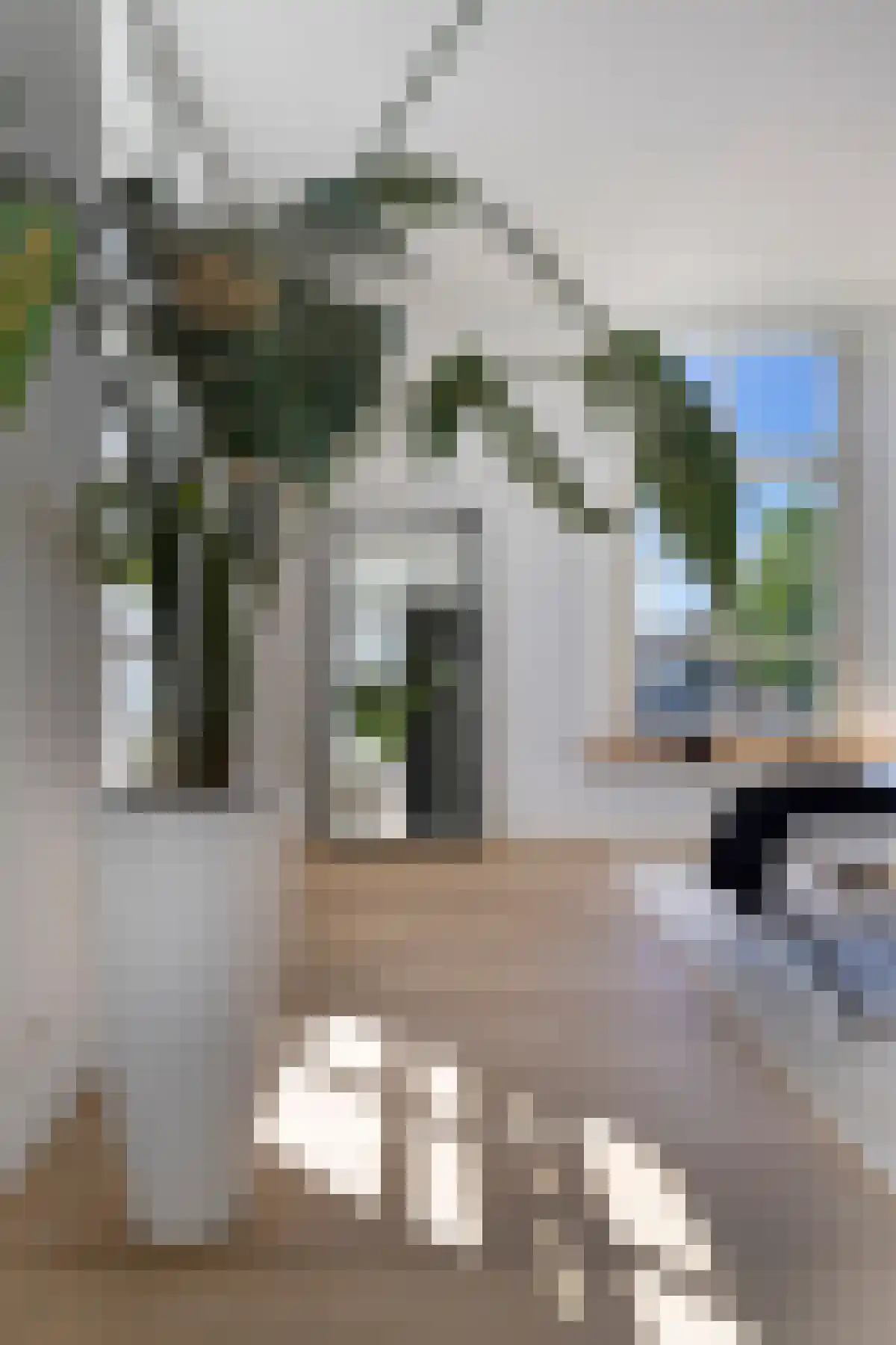 Kerkplein 5 Beugen thumbnail 45
