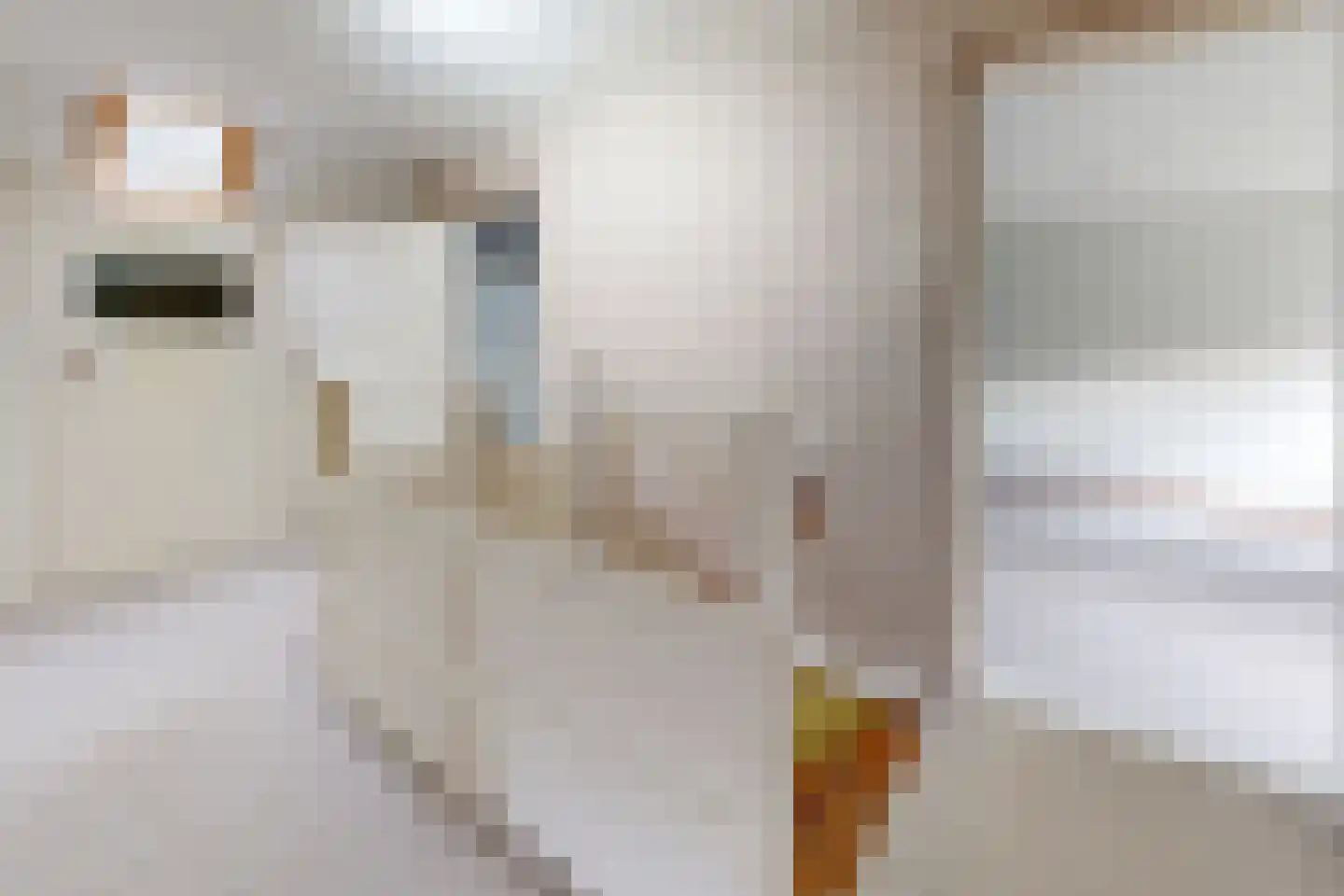 Kerkring 27 Willemstad thumbnail 40