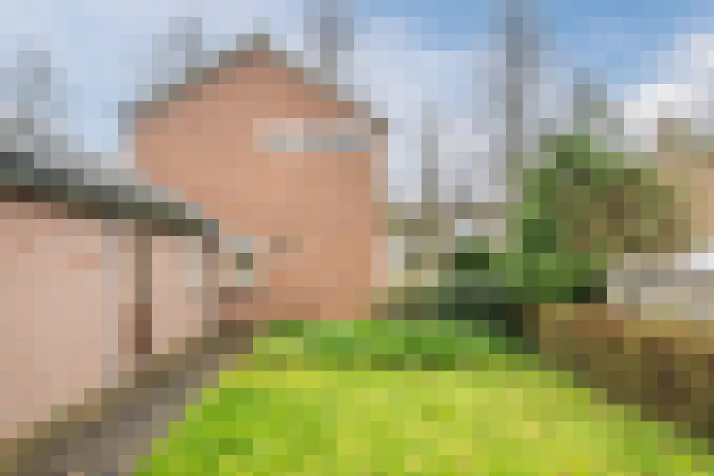 Kerkring 6 Middenmeer thumbnail 24