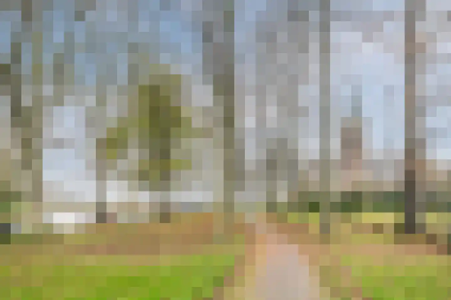 Kerkring 6 Middenmeer thumbnail 28