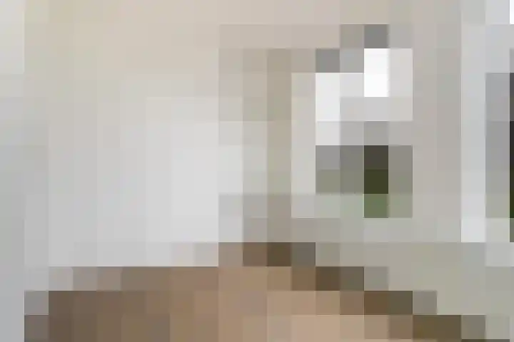 Kerkring 7 Fijnaart thumbnail 25