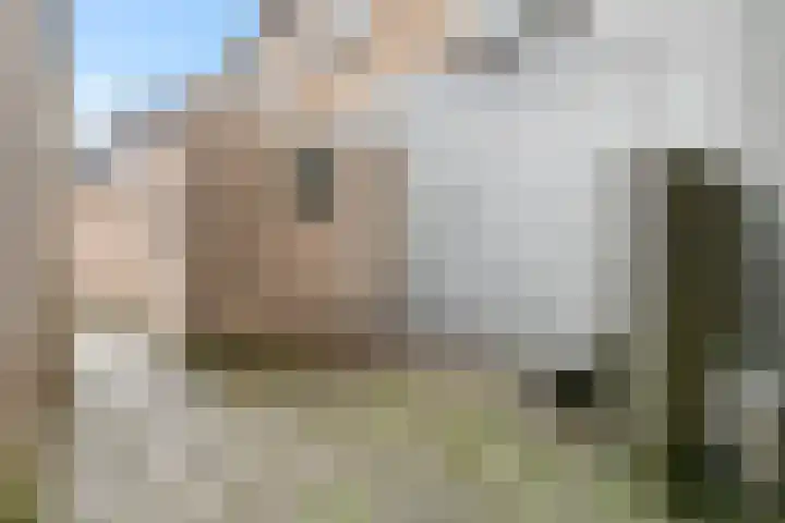 Kerkring 7 Fijnaart thumbnail 28