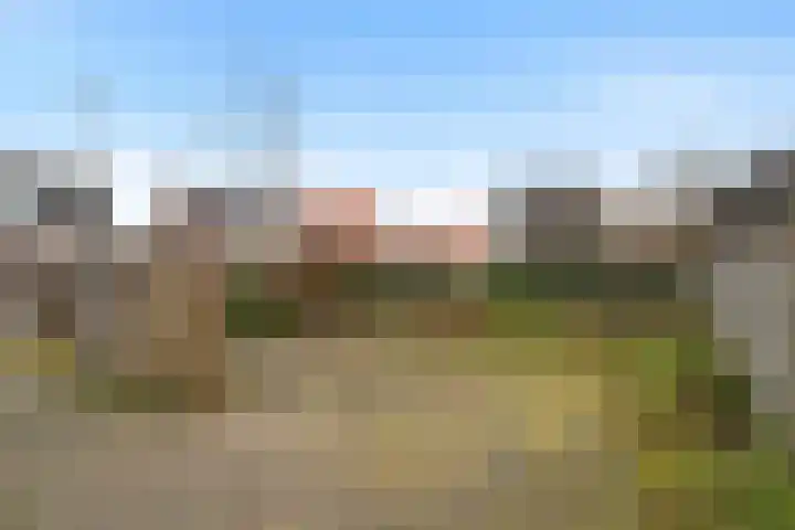Kerkring 7 Fijnaart thumbnail 31