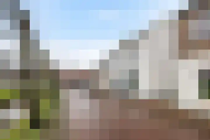 Kerkring 7 Fijnaart thumbnail 33