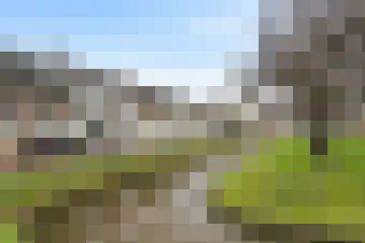 Kerkring 7 Fijnaart thumbnail 36