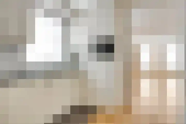 Kerkstraat 1 a Bergeijk thumbnail 10