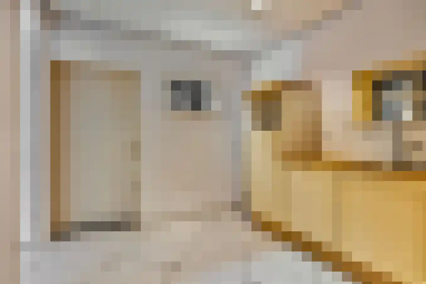 Kerkstraat 1 Dodewaard thumbnail 21