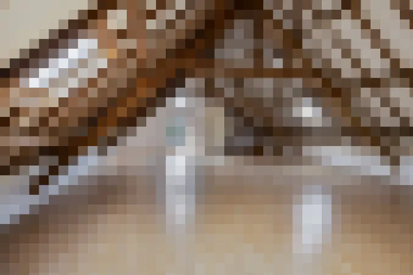 Kerkstraat 1 Dodewaard thumbnail 27
