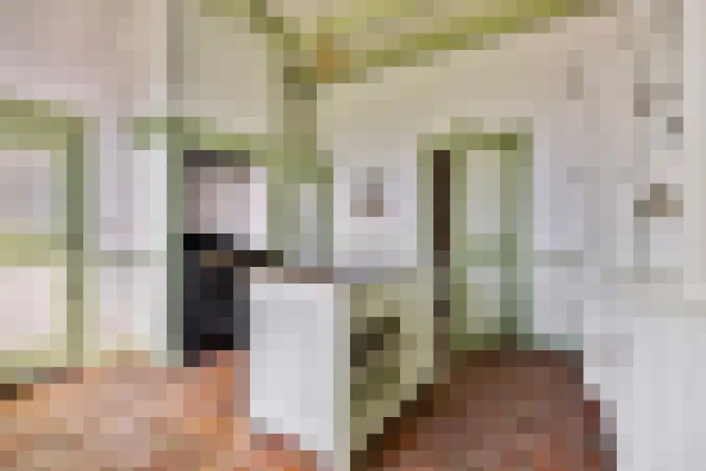 Kerkstraat 1 Dodewaard thumbnail 37