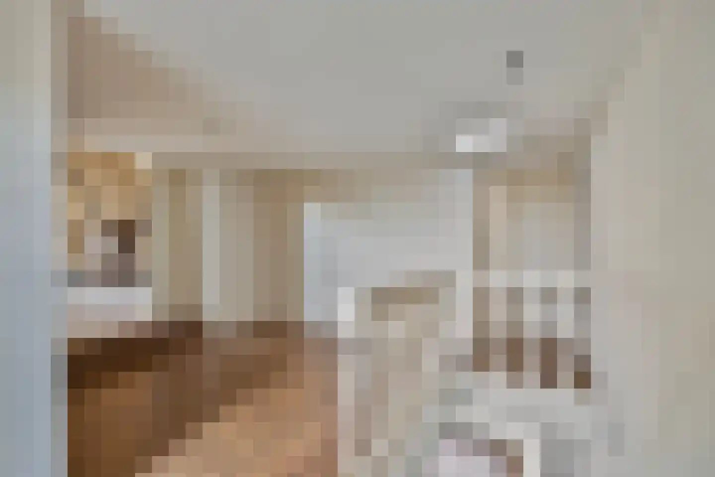 Kerkstraat 1 Dodewaard thumbnail 40