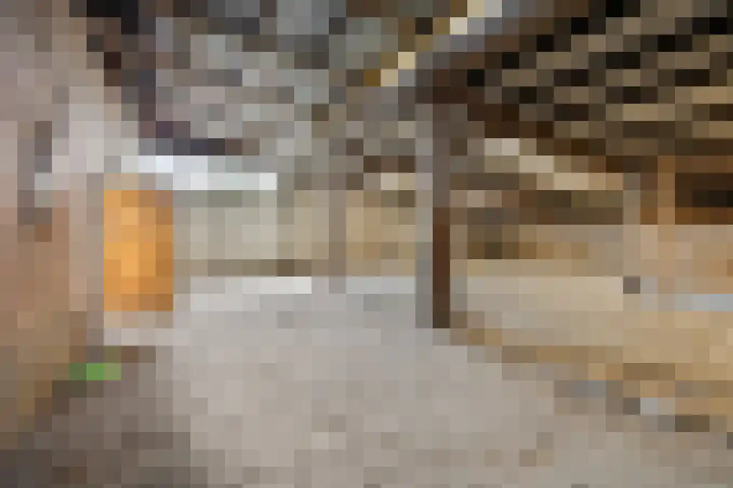 Kerkstraat 1 Dodewaard thumbnail 54