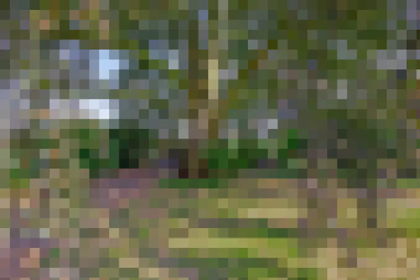 Kerkstraat 1 Dodewaard thumbnail 66