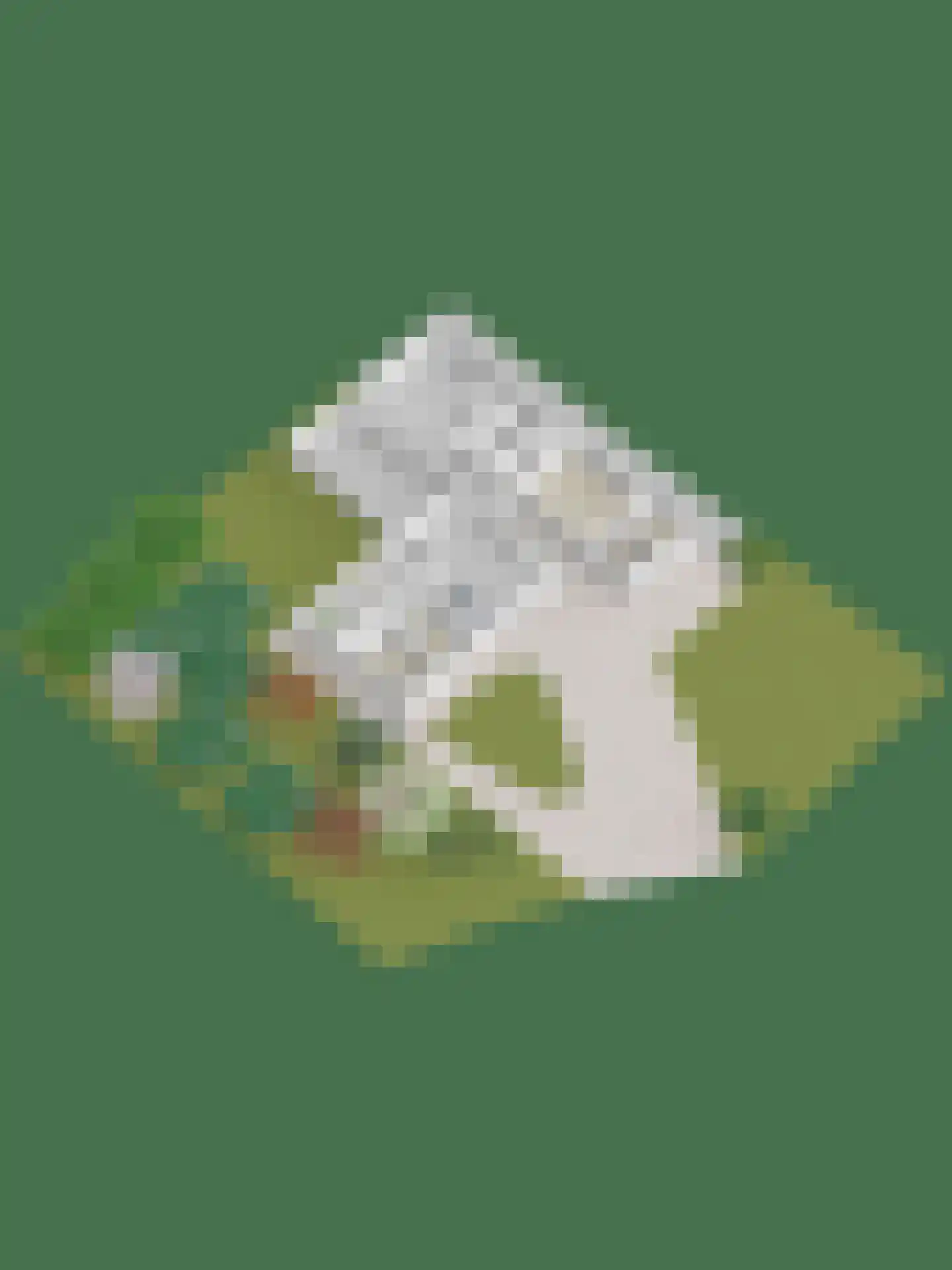 Kerkstraat 1 Dodewaard thumbnail 78