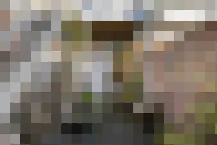 Kerkstraat 10 Doesburg thumbnail 51