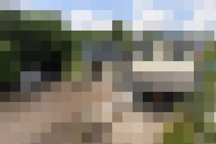 Kerkstraat 101 Goor thumbnail 25