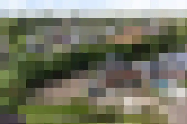 Kerkstraat 101 Goor thumbnail 28