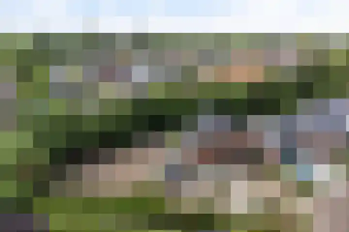 Kerkstraat 101 Goor thumbnail 29