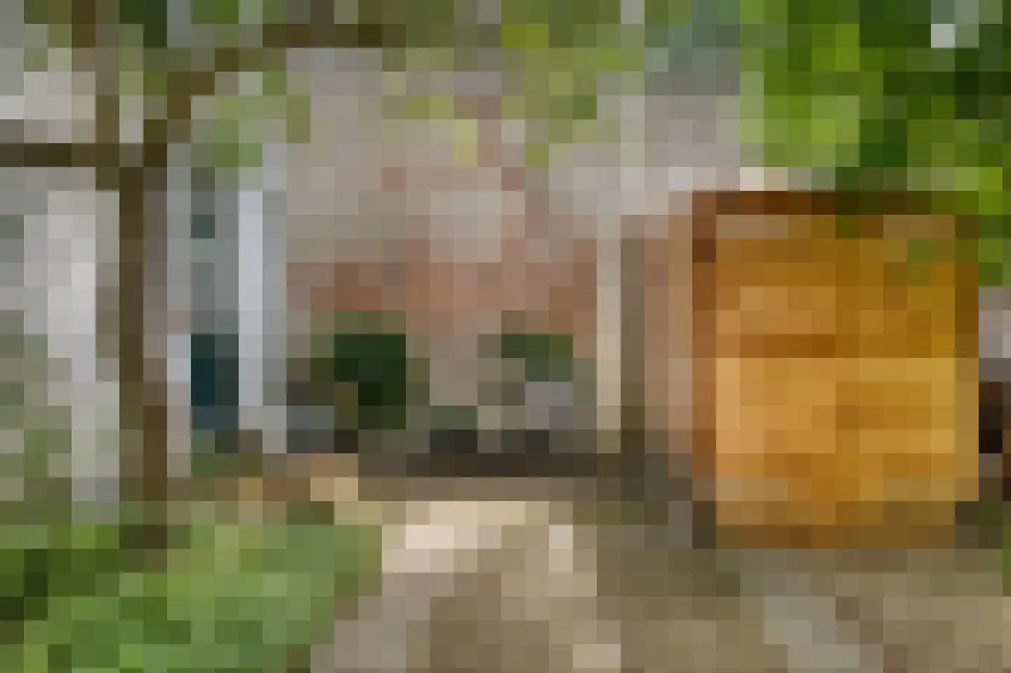 Kerkstraat 12 Katwijk thumbnail 4