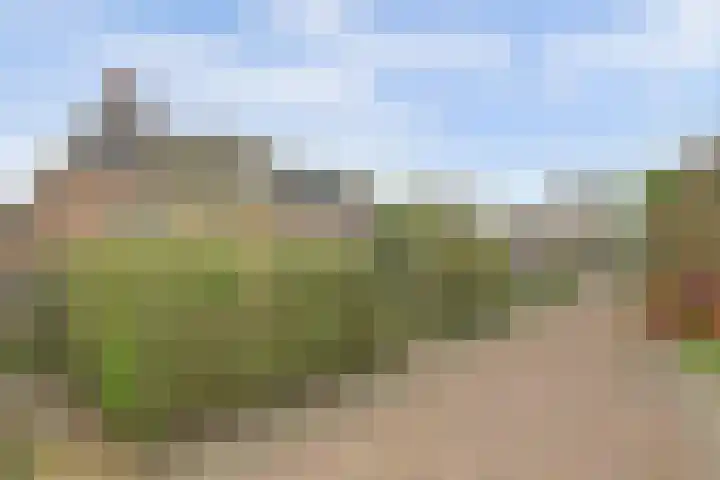 Kerkstraat 12 Pingjum thumbnail 30
